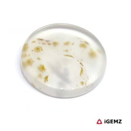 15.52 ct Brown Dendritic Agate - iGemz24469 gemstone for sale at igemz.co.za