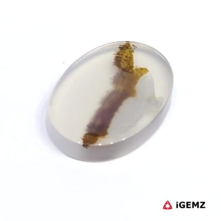 3.71 ct Brown Dendritic Agate - iGemz24471 gemstone for sale at igemz.co.za