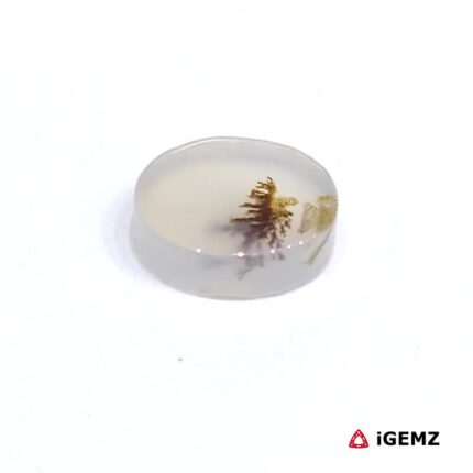 1.98 ct Brown Dendritic Agate - iGemz24472 gemstone for sale at igemz.co.za