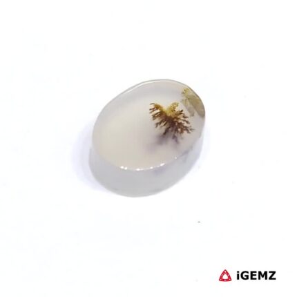 1.98 ct Brown Dendritic Agate - iGemz24472 gemstone for sale at igemz.co.za