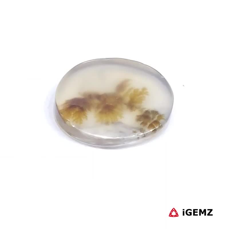 iGemz24474.1 2 ct Brown Dendritic Agate - iGemz24474 gemstone for sale at igemz.co.za