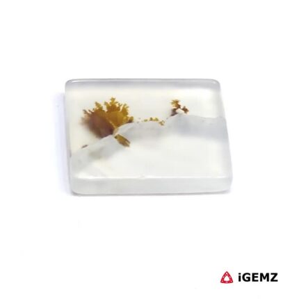 5.21 ct Brown Dendritic Agate - iGemz24478 gemstone for sale at igemz.co.za