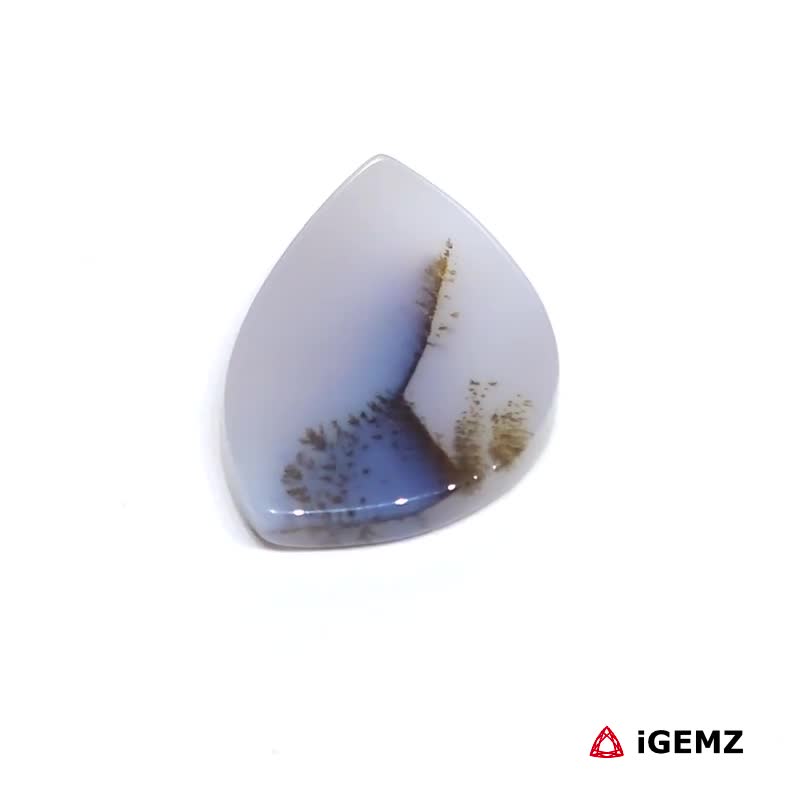 iGemz24482.1 11.1 ct Brown Dendritic Agate - iGemz24482 gemstone for sale at igemz.co.za