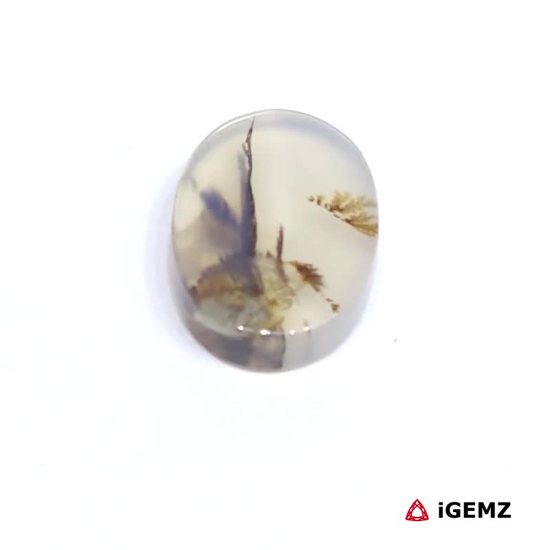 iGemz24484.1 3.68 ct Brown Dendritic Agate - iGemz24484 gemstone for sale at igemz.co.za