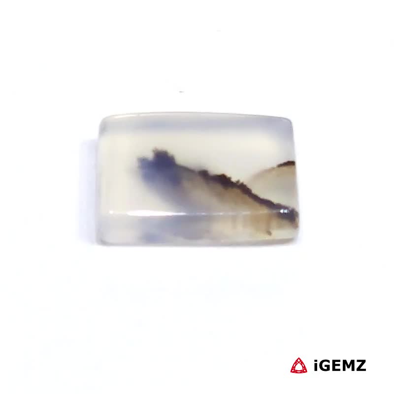iGemz24485.1 2.68 ct Brown Dendritic Agate - iGemz24485 gemstone for sale at igemz.co.za