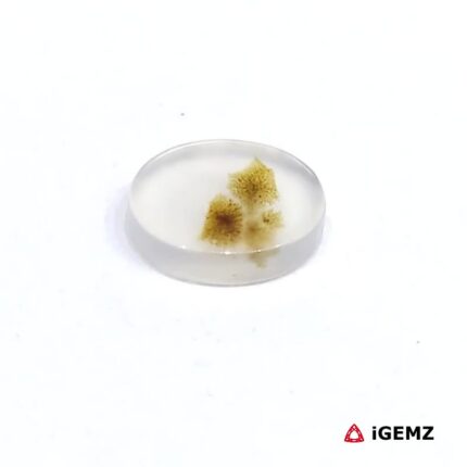 1.44 ct Brown Dendritic Agate - iGemz24489 gemstone for sale at igemz.co.za
