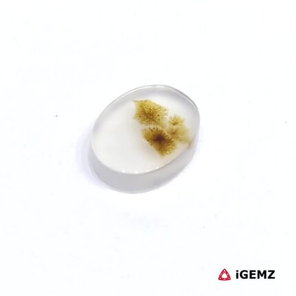 1.44 ct Brown Dendritic Agate - iGemz24489 gemstone for sale at igemz.co.za