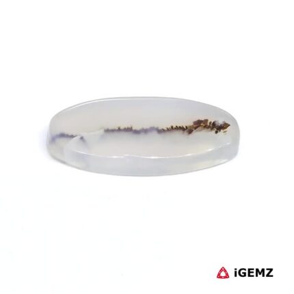 7.85 ct Brown Dendritic Agate - iGemz24491 gemstone for sale at igemz.co.za