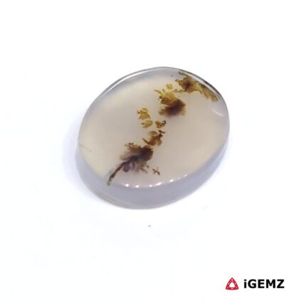 2.88 ct Brown Dendritic Agate - iGemz24498 gemstone for sale at igemz.co.za