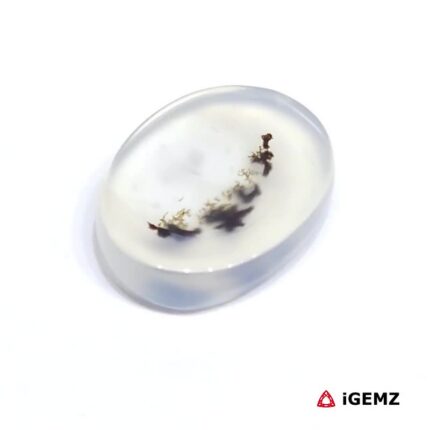 6.24 ct Black Dendritic Agate - iGemz24501 gemstone for sale at igemz.co.za
