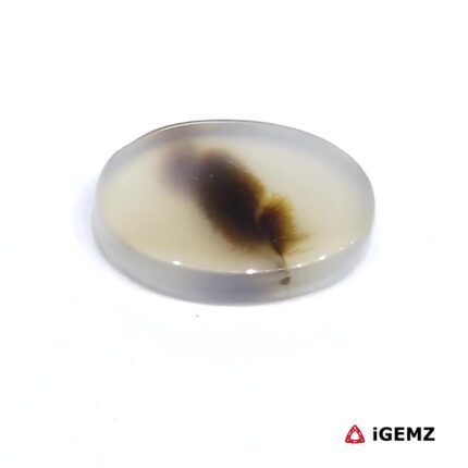 6 ct Brown Dendritic Agate - iGemz24502 gemstone for sale at igemz.co.za