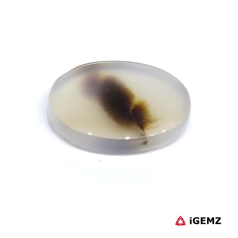 iGemz24502.1 6 ct Brown Dendritic Agate - iGemz24502 gemstone for sale at igemz.co.za