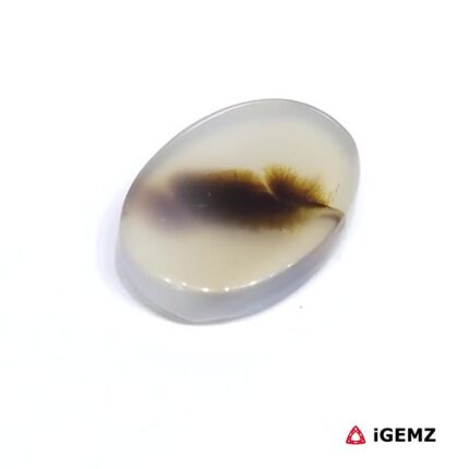 6 ct Brown Dendritic Agate - iGemz24502 gemstone for sale at igemz.co.za