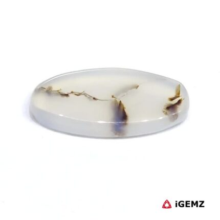 5.24 ct Brown Dendritic Agate - iGemz24503 gemstone for sale at igemz.co.za