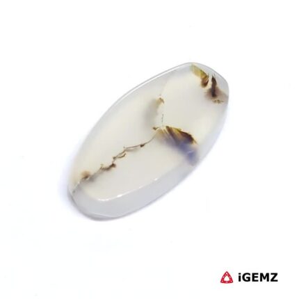 5.24 ct Brown Dendritic Agate - iGemz24503 gemstone for sale at igemz.co.za