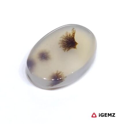 6.27 ct Brown Dendritic Agate - iGemz24506 gemstone for sale at igemz.co.za