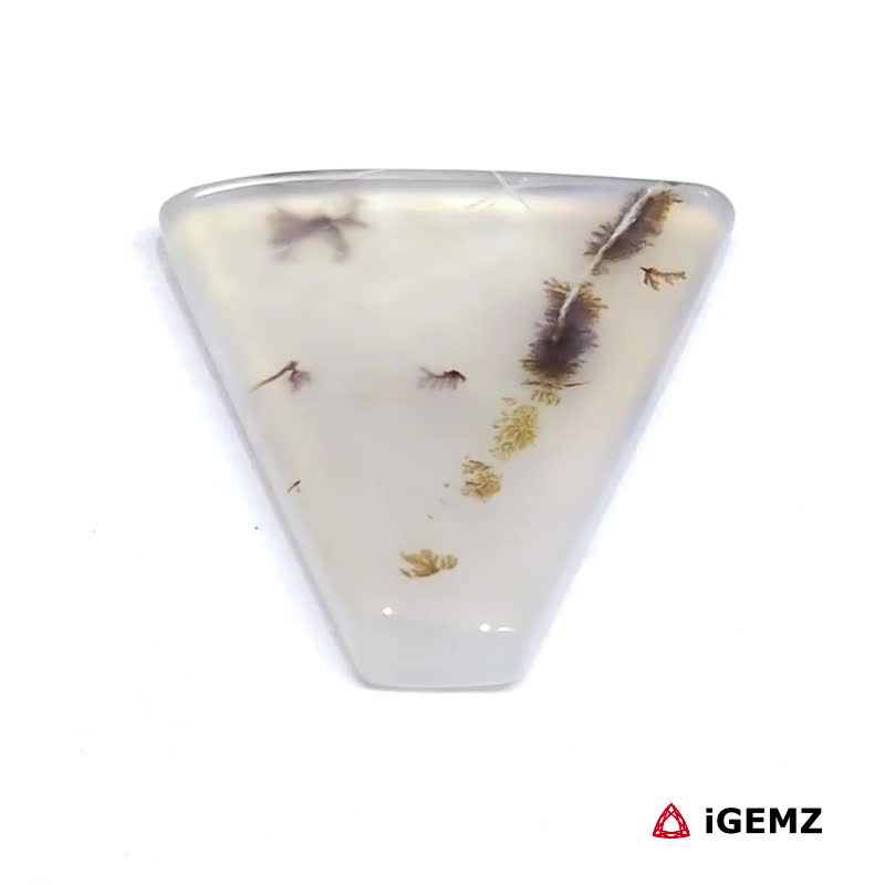 iGemz24507.1 6.8 ct Brown Dendritic Agate - iGemz24507 gemstone for sale at igemz.co.za