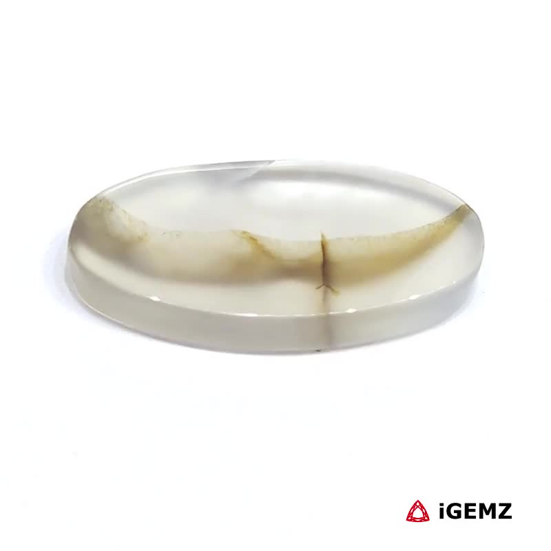 iGemz24510.1 8.53 ct Brown Dendritic Agate - iGemz24510 gemstone for sale at igemz.co.za