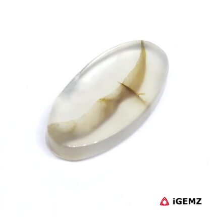 8.53 ct Brown Dendritic Agate - iGemz24510 gemstone for sale at igemz.co.za