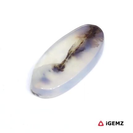 7.92 ct Brown Dendritic Agate - iGemz24511 gemstone for sale at igemz.co.za