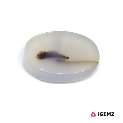 5.32 ct Brown Dendritic Agate - iGemz24512 gemstone for sale at igemz.co.za