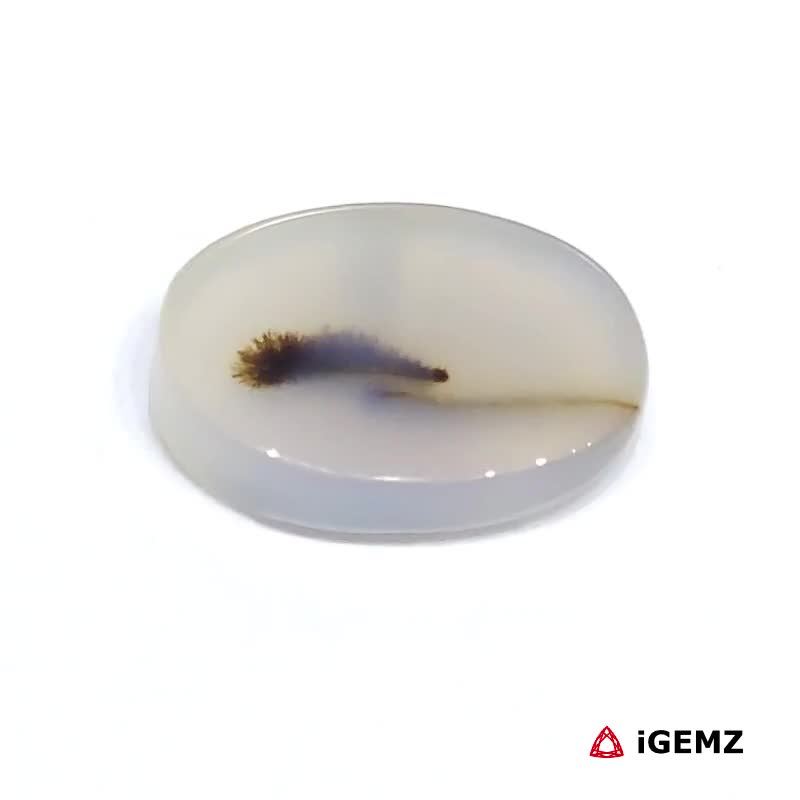 iGemz24512.1 5.32 ct Brown Dendritic Agate - iGemz24512 gemstone for sale at igemz.co.za
