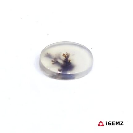1.1 ct Brown Dendritic Agate - iGemz24515 gemstone for sale at igemz.co.za