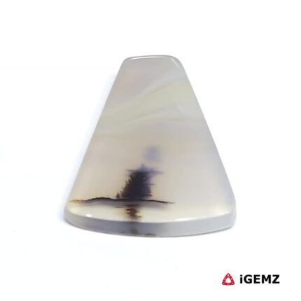 15.25 ct Brown Dendritic Agate - iGemz24518 gemstone for sale at igemz.co.za