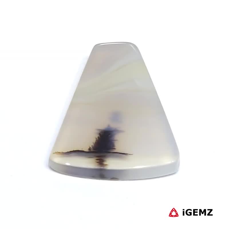iGemz24518.1 15.25 ct Brown Dendritic Agate - iGemz24518 gemstone for sale at igemz.co.za