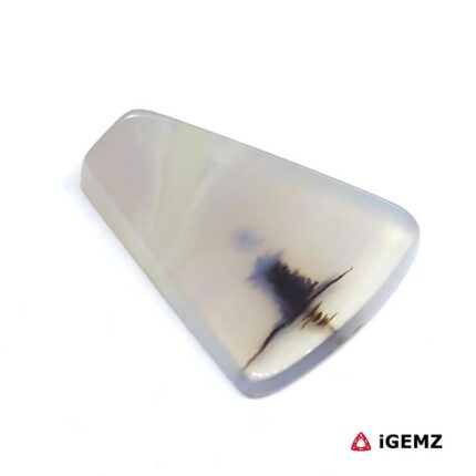 15.25 ct Brown Dendritic Agate - iGemz24518 gemstone for sale at igemz.co.za