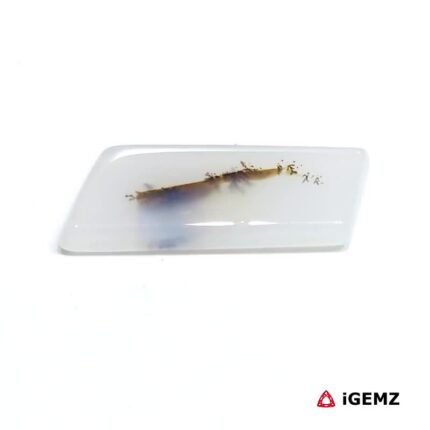 9.72 ct Brown Dendritic Agate - iGemz24519 gemstone for sale at igemz.co.za