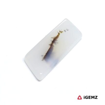 9.72 ct Brown Dendritic Agate - iGemz24519 gemstone for sale at igemz.co.za