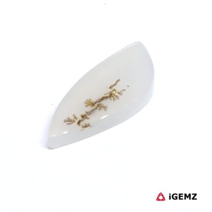 4.6 ct Brown Dendritic Agate - iGemz24523 gemstone for sale at igemz.co.za