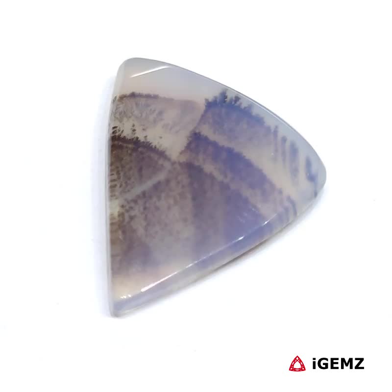 iGemz24524.1 11.83 ct Brown Dendritic Agate - iGemz24524 gemstone for sale at igemz.co.za