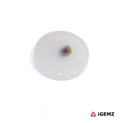 3.23 ct Brown Dendritic Agate - iGemz24527 gemstone for sale at igemz.co.za