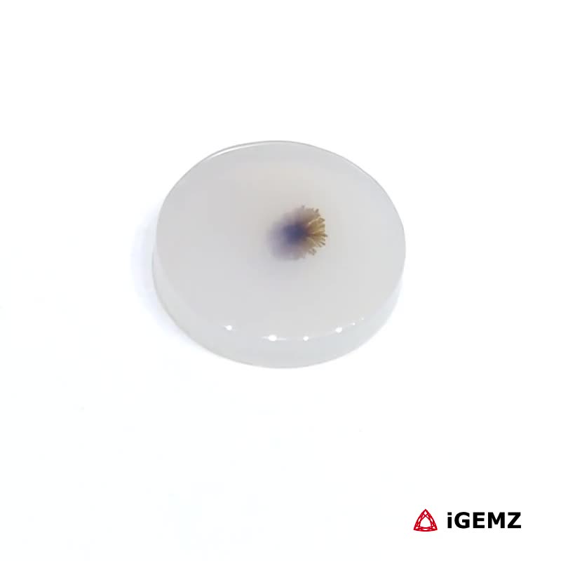 iGemz24527.1 3.23 ct Brown Dendritic Agate - iGemz24527 gemstone for sale at igemz.co.za