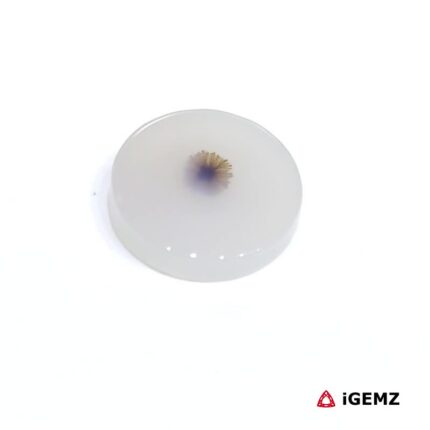3.23 ct Brown Dendritic Agate - iGemz24527 gemstone for sale at igemz.co.za