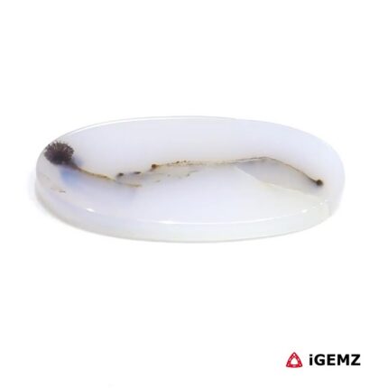 12.48 ct Black Dendritic Agate - iGemz24531 gemstone for sale at igemz.co.za