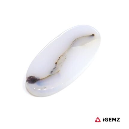 12.48 ct Black Dendritic Agate - iGemz24531 gemstone for sale at igemz.co.za