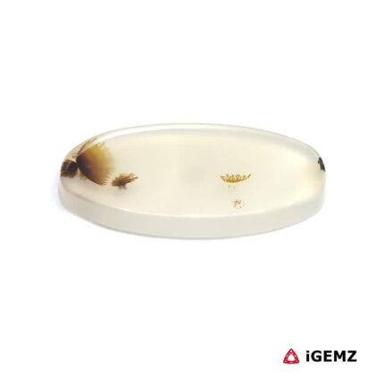7.33 ct Brown Dendritic Agate - iGemz24532 gemstone for sale at igemz.co.za