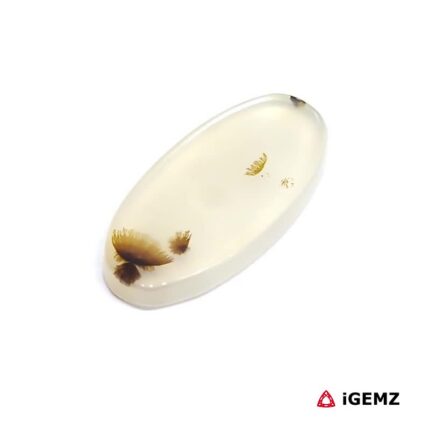 7.33 ct Brown Dendritic Agate - iGemz24532 gemstone for sale at igemz.co.za