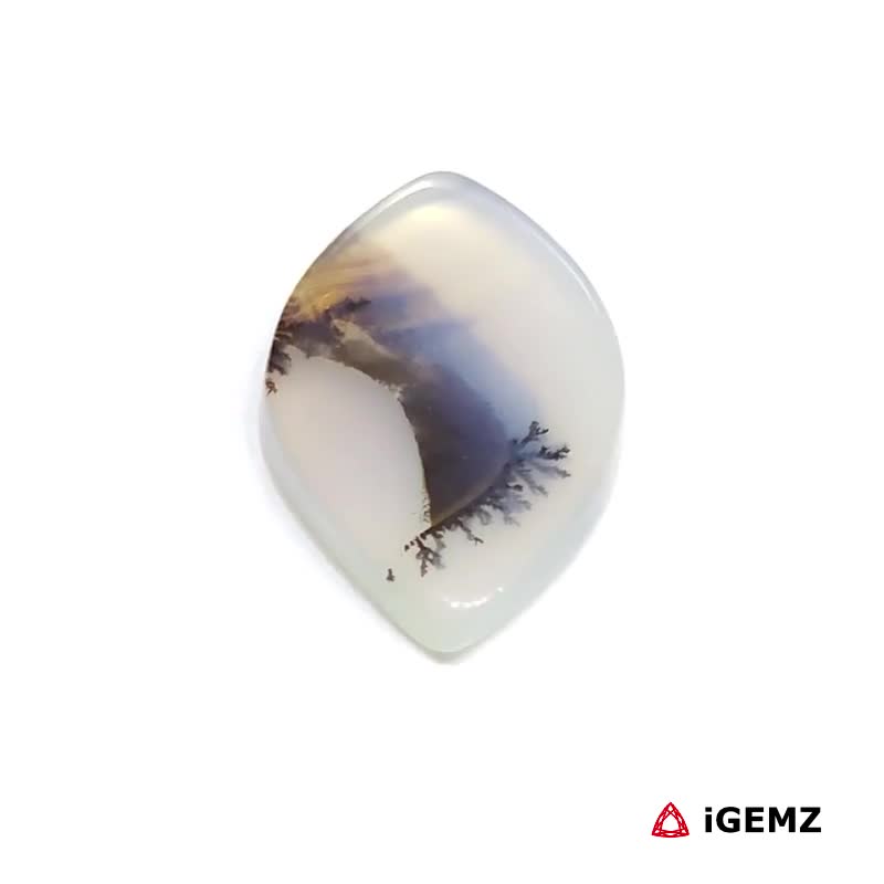iGemz24535.1 7.36 ct Brown Dendritic Agate - iGemz24535 gemstone for sale at igemz.co.za
