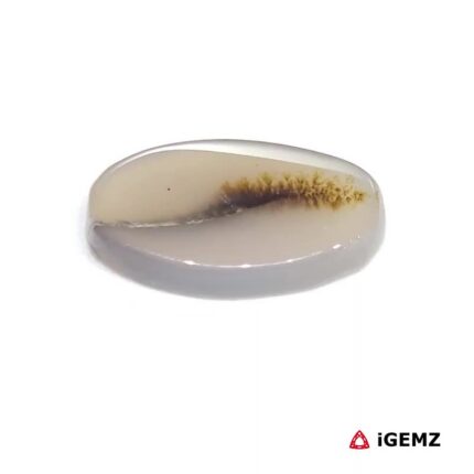 4.58 ct Brown Dendritic Agate - iGemz24540 gemstone for sale at igemz.co.za