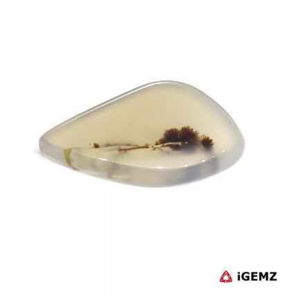 7.42 ct Black Dendritic Agate - iGemz24542 gemstone for sale at igemz.co.za