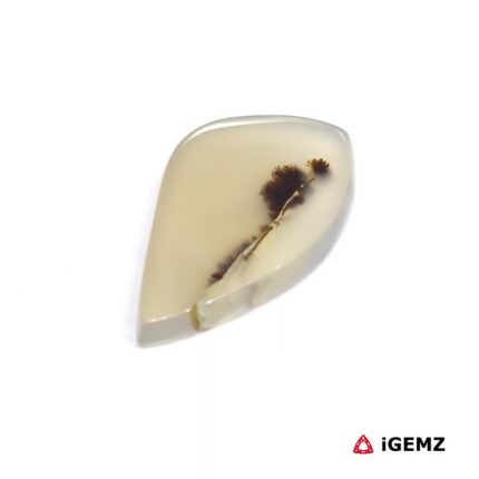 7.42 ct Black Dendritic Agate - iGemz24542 gemstone for sale at igemz.co.za