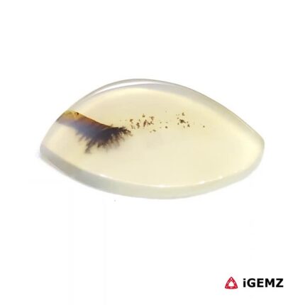 4.46 ct Brown Dendritic Agate - iGemz24543 gemstone for sale at igemz.co.za