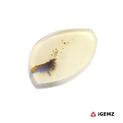 4.46 ct Brown Dendritic Agate - iGemz24543 gemstone for sale at igemz.co.za
