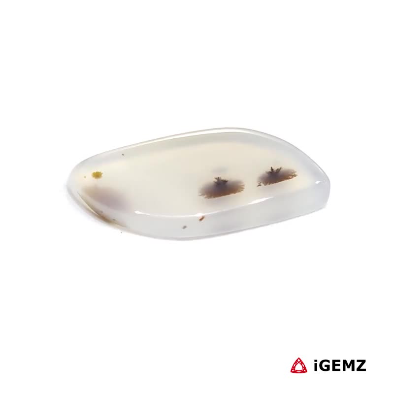 iGemz24545.1 5.65 ct Brown Dendritic Agate - iGemz24545 gemstone for sale at igemz.co.za