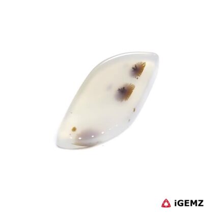 5.65 ct Brown Dendritic Agate - iGemz24545 gemstone for sale at igemz.co.za