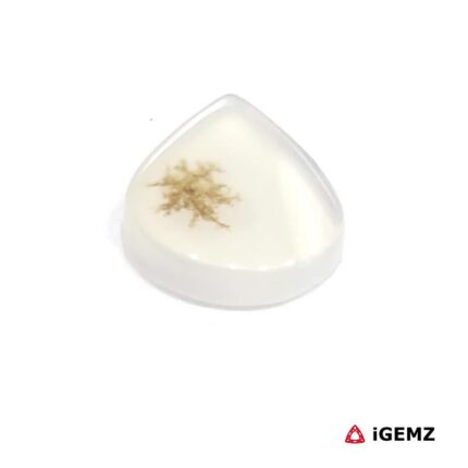 2.13 ct Brown Dendritic Agate - iGemz24546 gemstone for sale at igemz.co.za